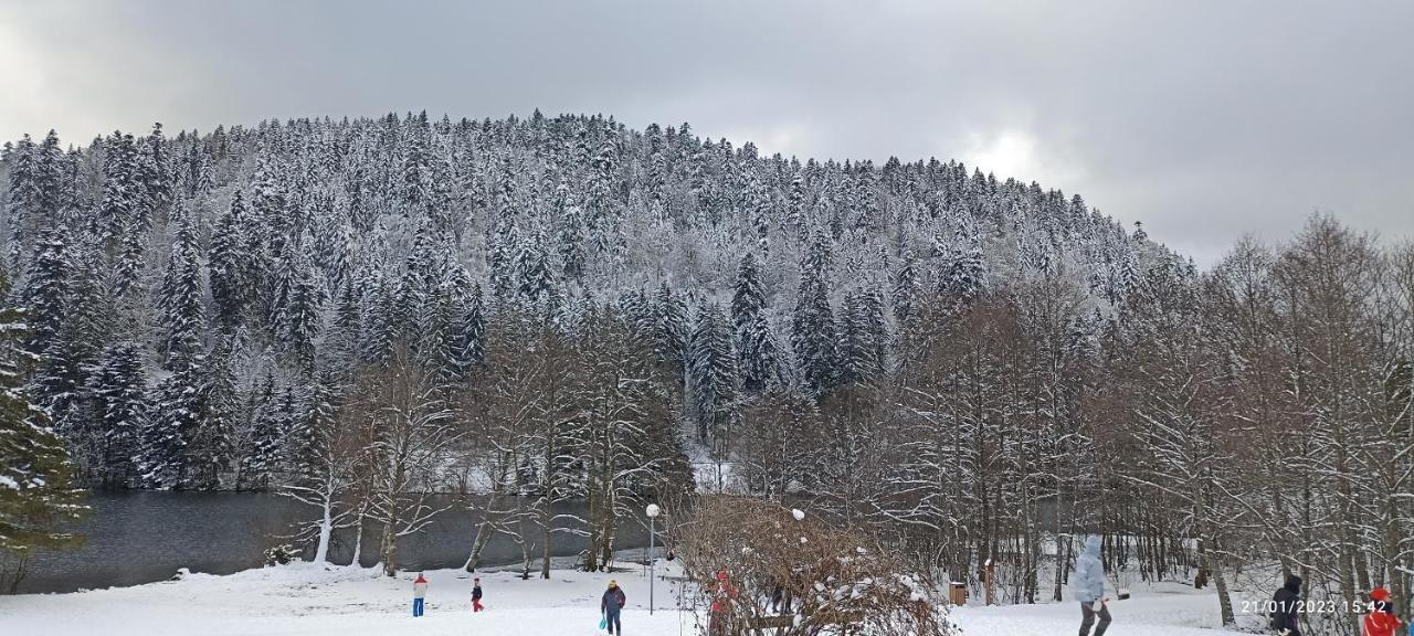 Apartamento A 2 pas du lac Xonrupt-Longemer Exterior foto