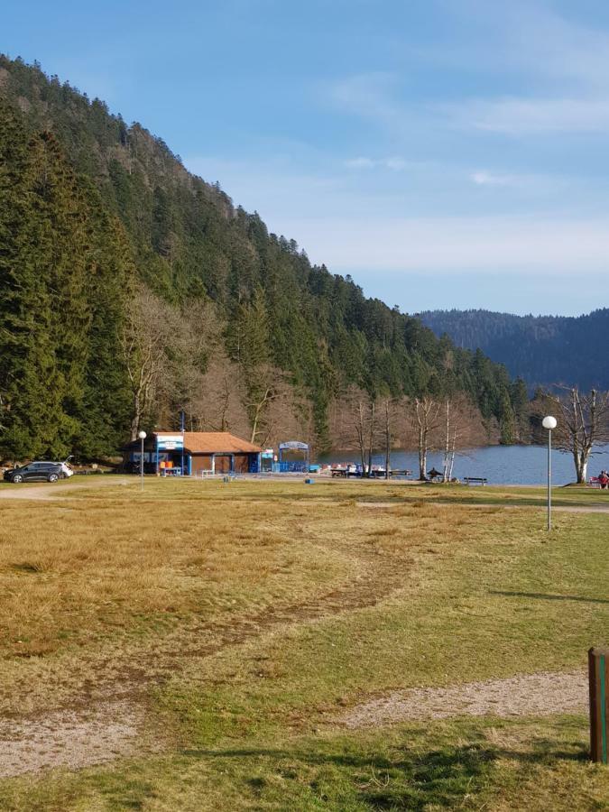 Apartamento A 2 pas du lac Xonrupt-Longemer Exterior foto