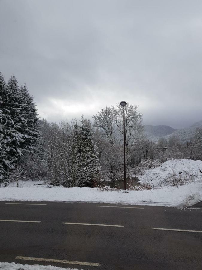 Apartamento A 2 pas du lac Xonrupt-Longemer Exterior foto