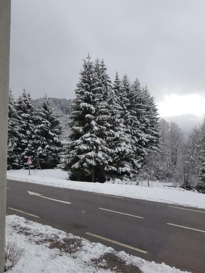 Apartamento A 2 pas du lac Xonrupt-Longemer Exterior foto
