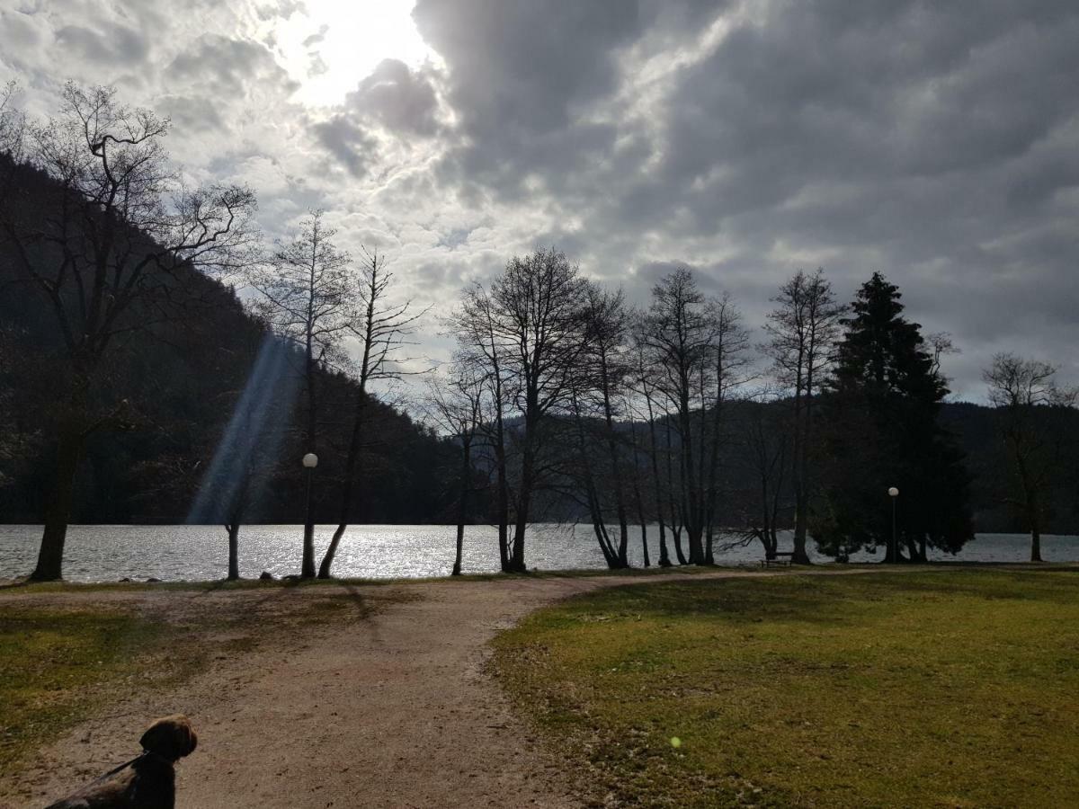 Apartamento A 2 pas du lac Xonrupt-Longemer Exterior foto
