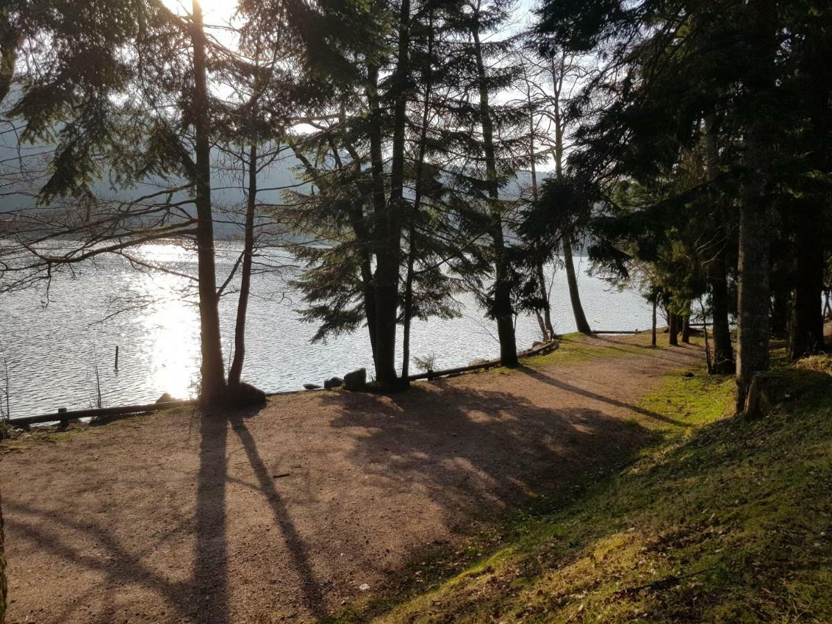 Apartamento A 2 pas du lac Xonrupt-Longemer Exterior foto